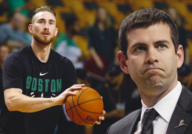 入世界杯的 入世界杯的